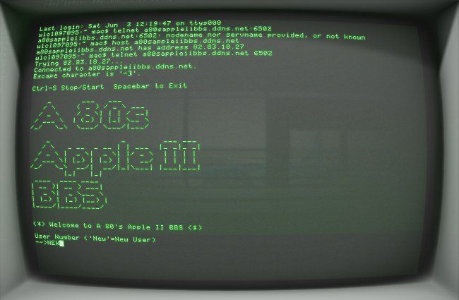 Monochrome monitor with text display